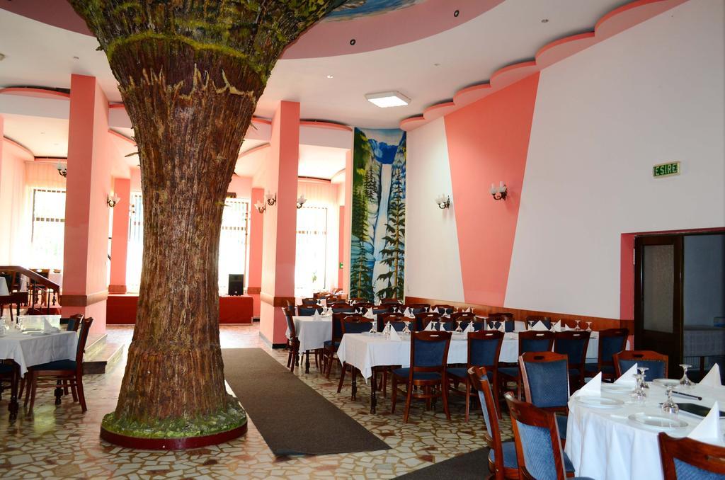 Hotel Bradul Durau Εξωτερικό φωτογραφία